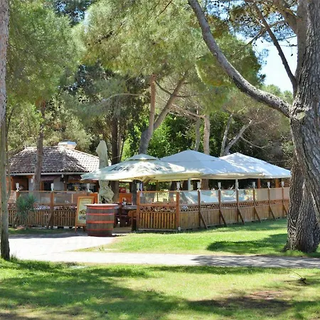 Brace Ilic 1 Apartment