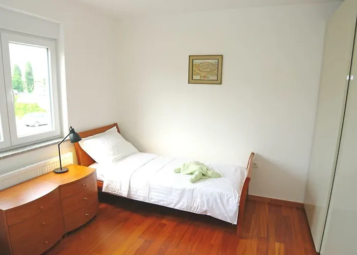 Brace Ilic 1 파자나