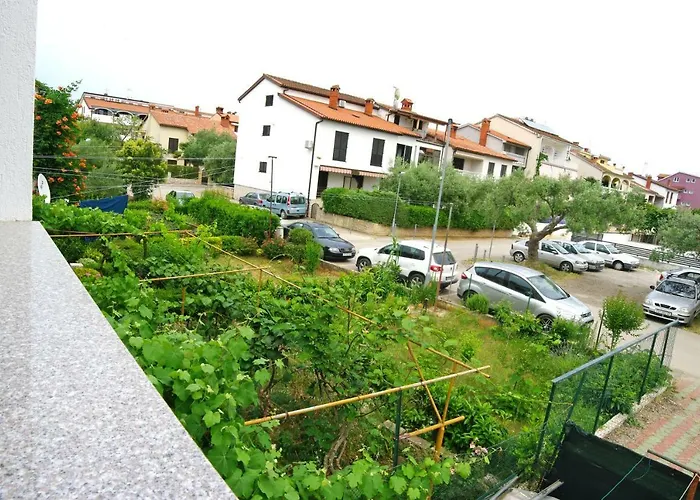 Brace Ilic 1 * 파자나