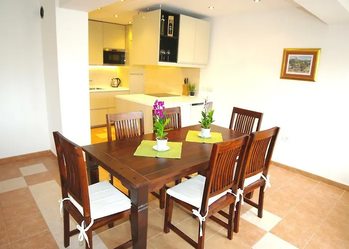 Brace Ilic 1 파자나