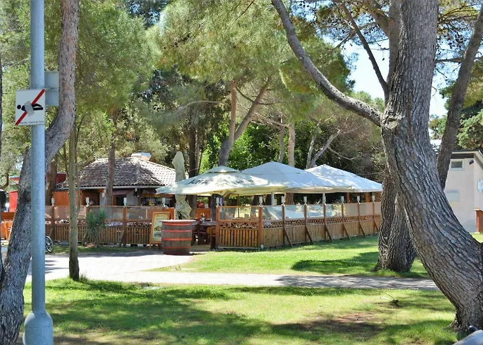 Brace Ilic 1 아파트