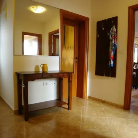 Apartman Brace Ilic 1 *